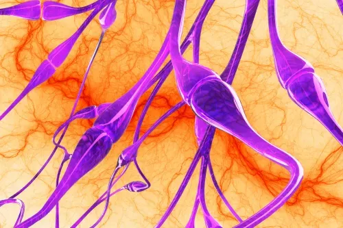 Celiac Plexus Nerve Block page feature image